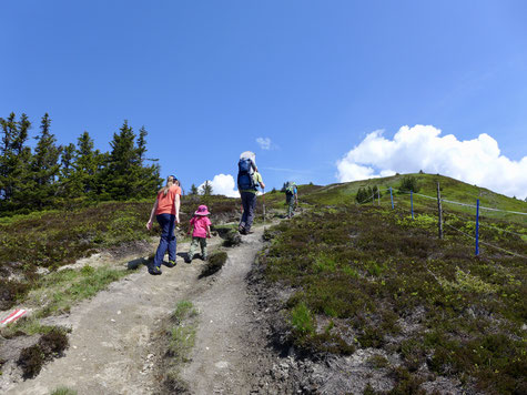 Auf dem Weg zum Padauner Kogel.
