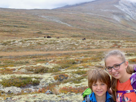 Dovrefjell Norwegen Wandern mit Kinder