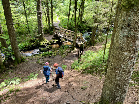 Brücke über die Elz in der Nähe des Elz Wasserfalls