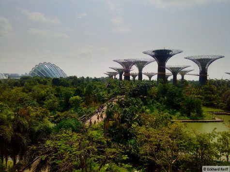 der "garden of the bay" in Singapur