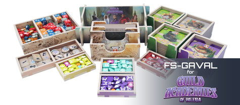 folded space insert organizer guild academies of valeria