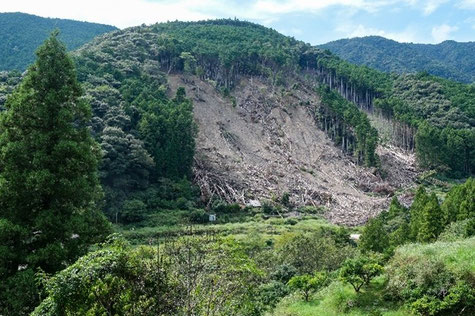 迂回路から見た地すべり箇所(2025年9月撮影)