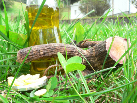 Buffet bunt Kräuter Wildkräuter vegetarisch Gemüse