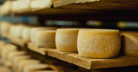 Kent cheese at Broadstairs Festival. Local produce from the Garden of England