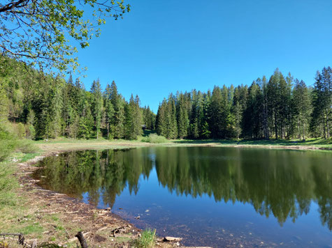 Schafferteich, Windhagersee, Michlreith, Totes Gebirge, Wanderung, Pyhrn-Priel, Oberösterreich