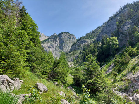 Höllgraben, Attersee, Weißenbachtal, Wandern, Oberösterreich, Salzkammergut