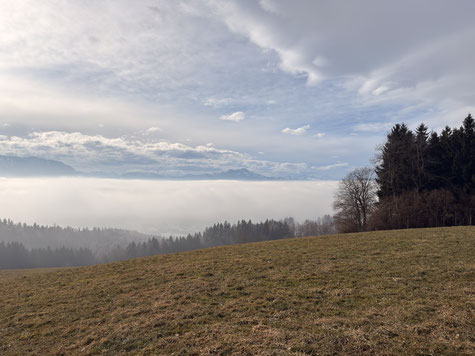 Gahberg, Geinberg, Häfelberg, Schörfling, Attersee, Attergau, Wandern, Salzkammergut, Oberösterreich