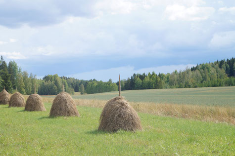 Traditionelle Landwirtschaft, Foto: Ulf F. Baumann