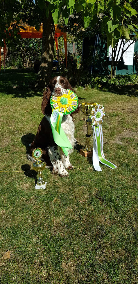 Best In Show "Okka vom Belauer See", Foto: Svenja Arendt