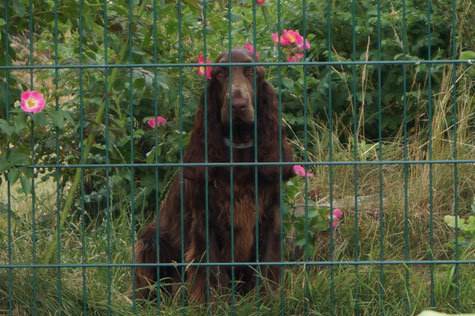 Onlookers are welcome, Photo: Ulf F. Baumann