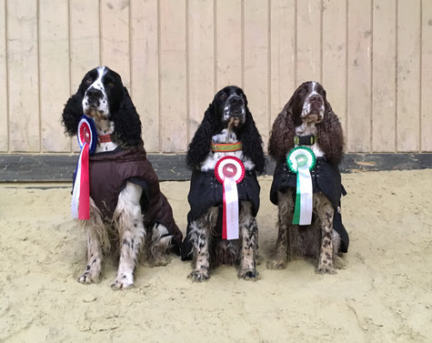 Jeppe, Zelda and Jule at the last RO Trial this year, Photo: Svenja Hansen