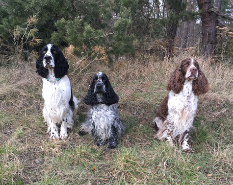 Jeppe, Festus und Jule, Foto: Svenja Hansen