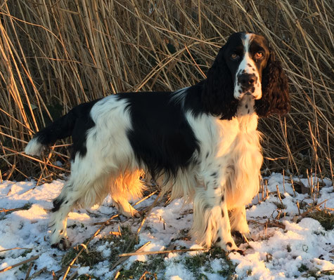 Jeppe "Jakob vom Belauer See" beim Spaziergang nach der Show, Foto: Svenja Hansen