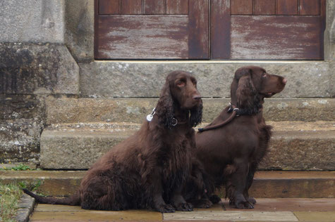 Vicky und Dorothy unterwegs in Nordengland, Foto: Ulf F. Baumann