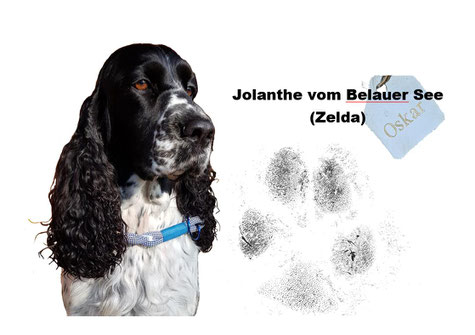 Zelda hat inzwischen eine eigene Autogrammkarte