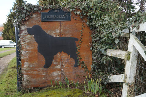 Kennel "Calvdale" in Northallerton, North Yorkshire, Foto: Ulf F. Baumann