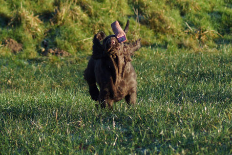 "Not so easy with those things called Dummy!", Photo: Ulf F. Baumann