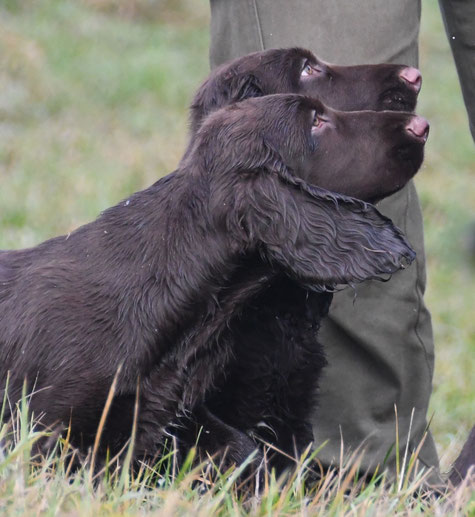 An den Köpfen soll man sie erkennen..., Foto: Claudia Bruhn