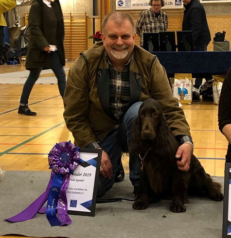 Spaniel of the year 2019 in Denmark! Photos: Eva-Marie Bergstrand