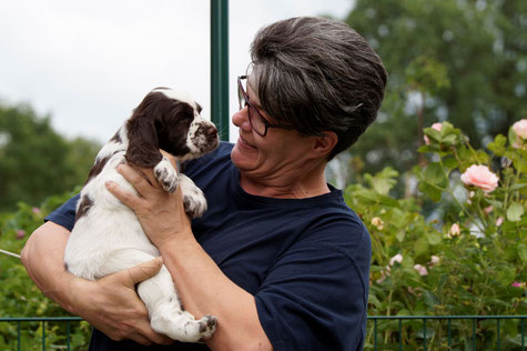 And another puppy evaluation, Photos: Ulf F. Baumann