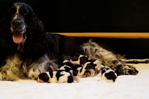 Yola and her seven dwarfs, Photo: Ulf F. Baumann