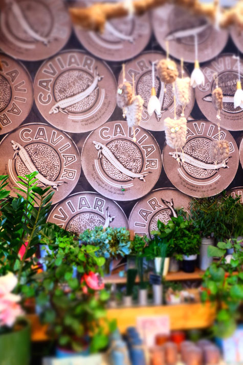 Caviar Tapete Bei Sti E Lecht Floristik Time To Gohome Interior Design Tapete