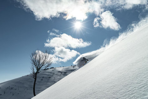 Freeride skiing, Catskilodge, spray, catski georgia, powder
