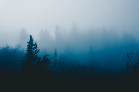 ꧁ © Cole Keister ꧂