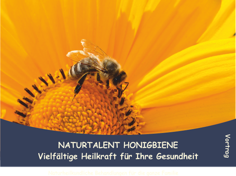 Ein Vortrag der Heilpraktikerin Bärbel Bröskamp über die Bienenheilkunde