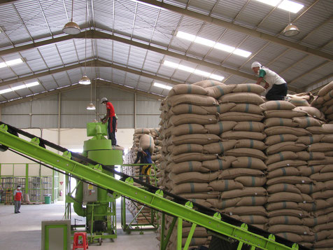 Coffee factory in a conventional supply chain
