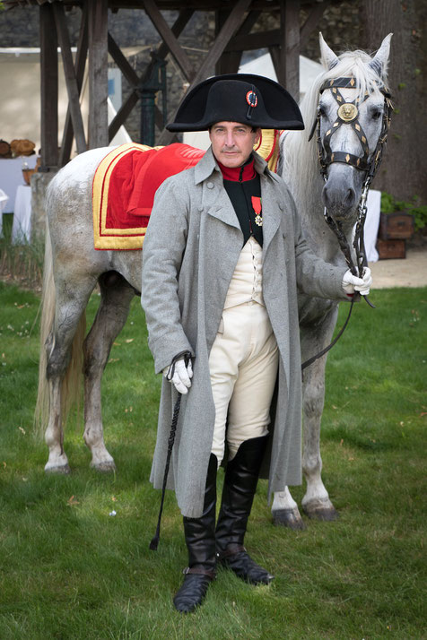 Napoleon with horse