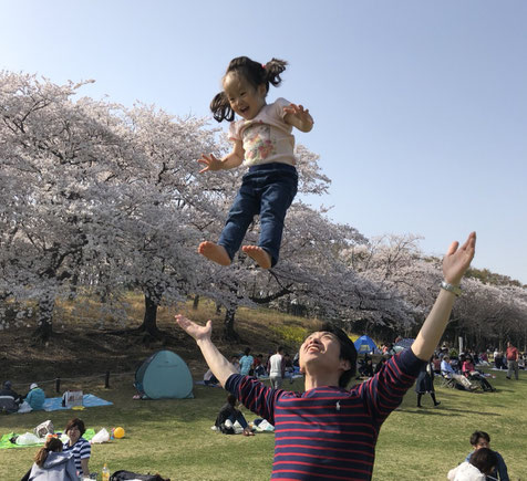 根岸森林公園にお花見にいってきました