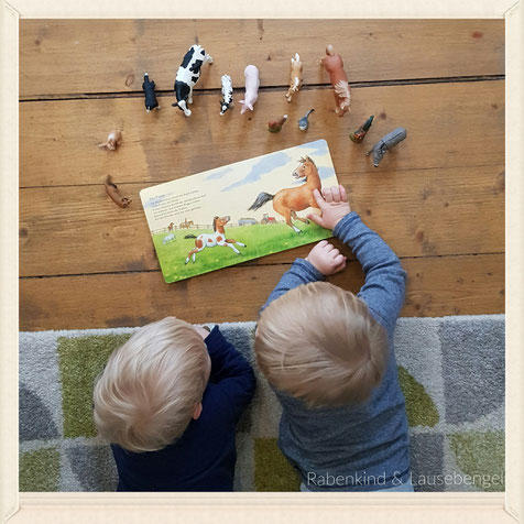 Gemeinsam Bücher anschauen und die passenden Bauernhof Schleichtiere dazu holen... so langsam beginnt das gemeinsame Spiel...