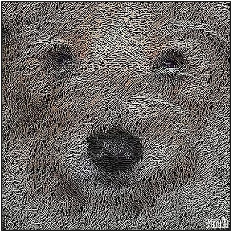 portrait of Timo
