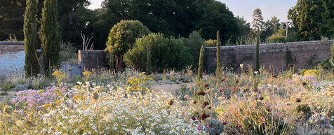 Der "Walled Garden" in Knepp Estate