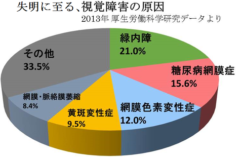 失明に至る、視覚障害の原因ランキング。第4位が加齢黄斑変性症です。