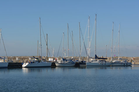 Robben-Safari in Thyborøn 