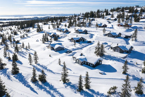 Hütten und Appartements bei dem Nordlandexperten buchen...