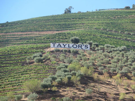 Taylors Portwein Tastings ud Meer bei Singer Portweine vormerken... wir freuen uns auf Ihren Anruf. 