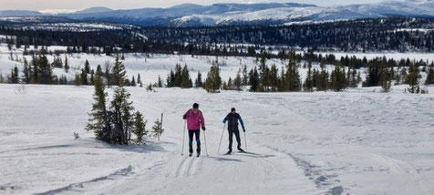 Weitläufiges Ski.Langlaufgebiet, Ideal für Anfänger und Fortgeschrittene...