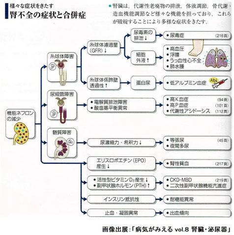 腎不全の症状と合併症