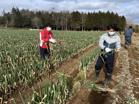 農スポ：新たな農業プレイヤーの創出