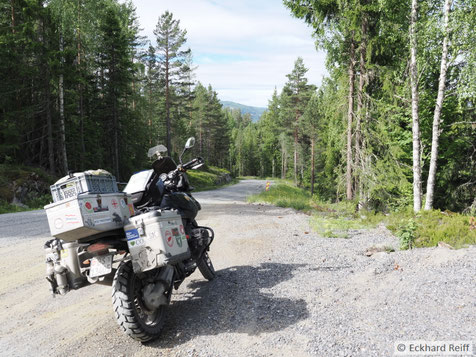 nördlich von Kongsberg im Gemüse, hier habe ich dann kapituliert und umgedreht