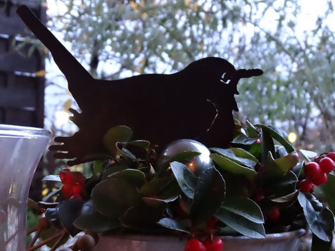 Bild: Winterstimmung, eine Amsel sitzt zwischen grünen Blättern und nascht rote Beeren