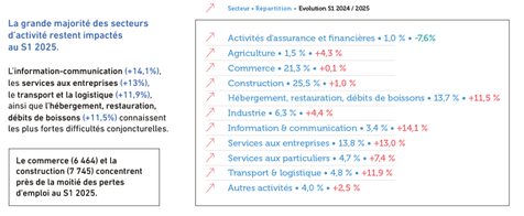 Cliquer pour agrandir