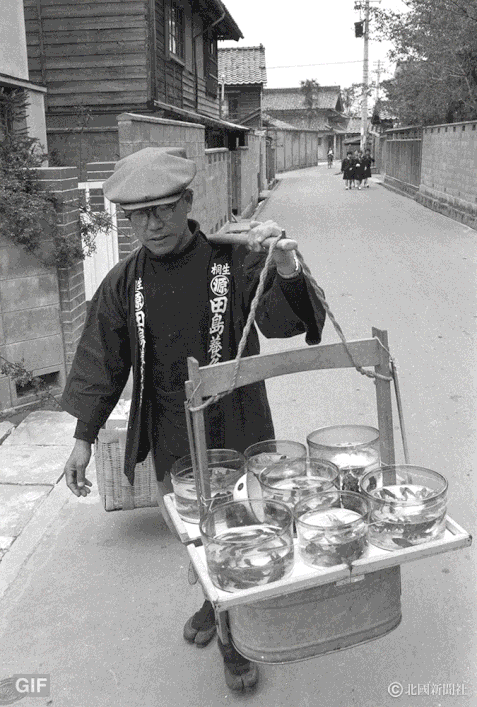 修復・色再現 作業例GIFアニメ　1963（昭和38）年4月、金沢市本多町を流す金魚売り