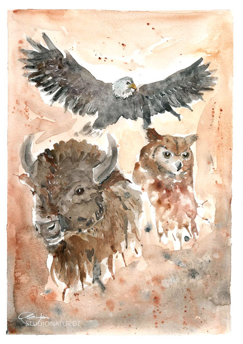 Büffel, Bison, Adler, Uhu, Eule, owl, buffalo, eagle, Tierkunst, Tieraquarell, emotionale Kunst, Aquarell, Kunstwerk, Original, Gemälde, Illustration, Wolfaquarell, contemporaryart, zeitgenössische Kunst, watercolour, watercolor, aquarela, aquarelle
