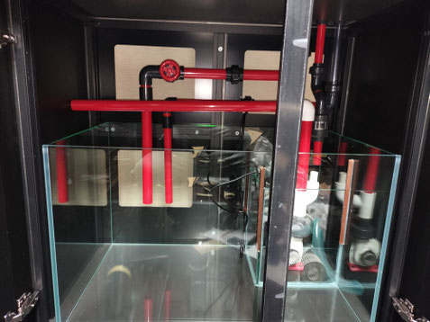 レッドシーリーファーnano ネプチューンキューブM-PRO90 分岐配管 サフデザイン HSBAO DCポンプ 水中ポンプ