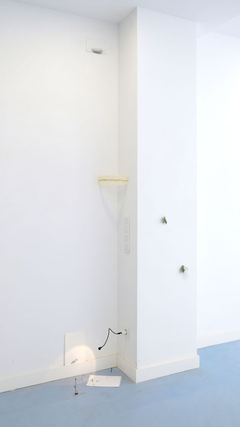 [ Life Span ]  Instalación formada por un díptico compuesto por dos dibujos que representan un fragmento del mismo motivo, restos de madera seca y una intervención sobre pared. Medidas variables. (2023)