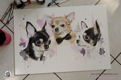 Création sur commande, d'après vos photos!  (Akina, Sanzô & Yaeka, chihuahuas de Bilitis)